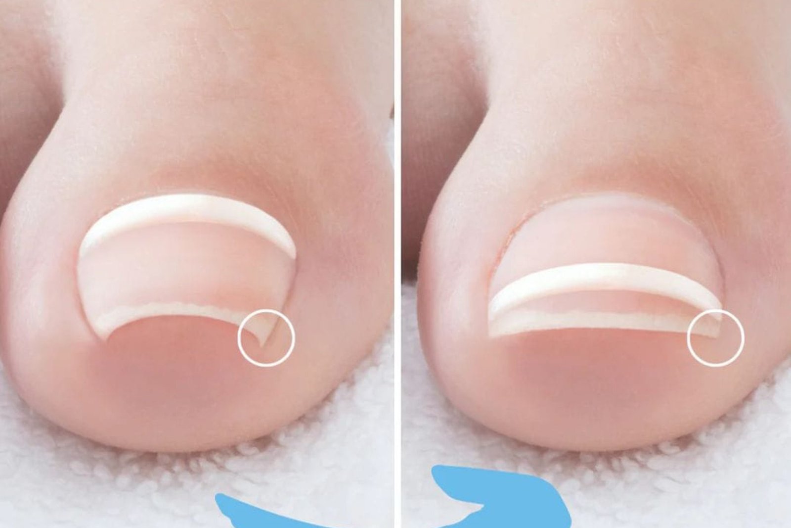 UAENCARNADA1739364951